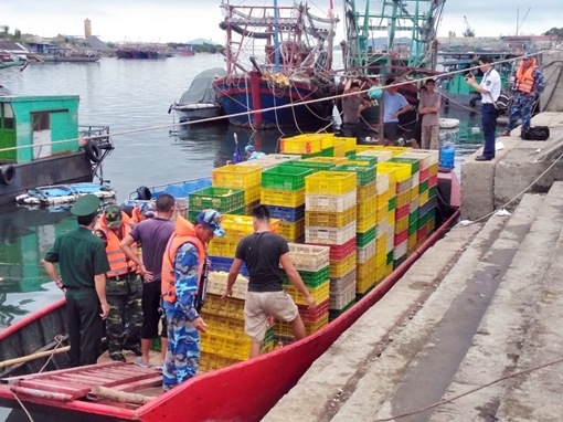 Tàu chở 35.000 con vịt giống nhập lậu từ Trung Quốc